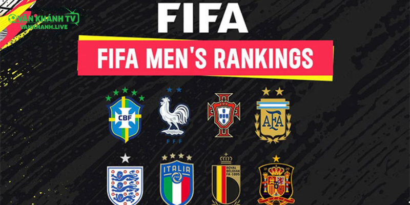 Lý do người hâm mộ nên theo dõi bảng xếp hạng bóng đá