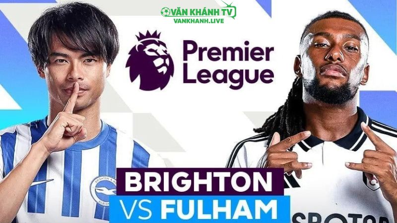 Nhận định Brighton vs Fulham ngày 16/8: Chim mòng biển quyết thắng ngay trận mở màn