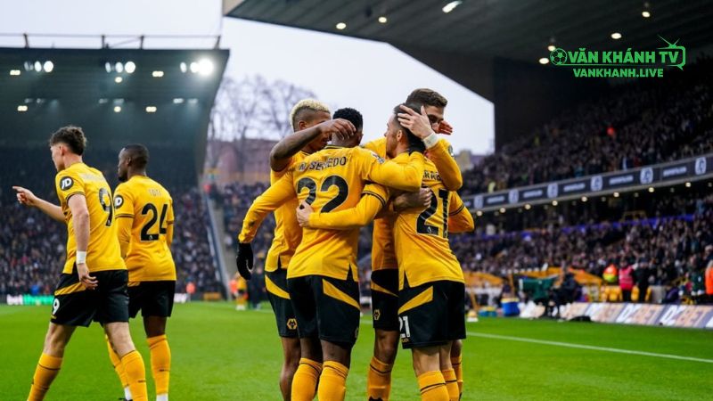 Phong độ Wolves trước trận mở màn: Thách thức lớn cho Pereira