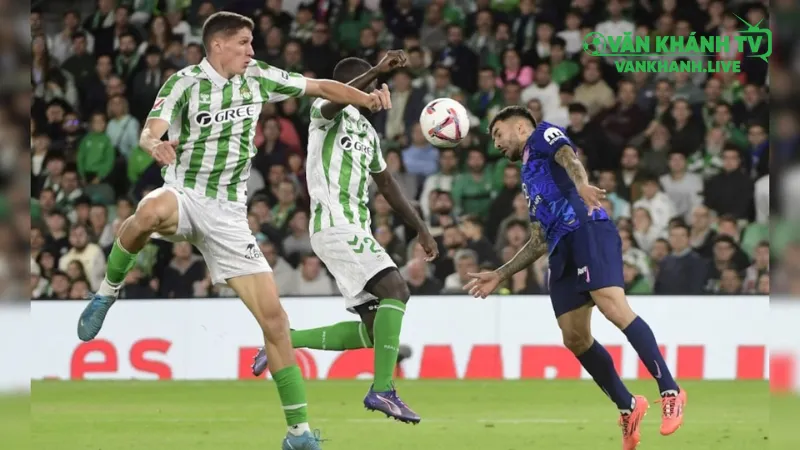 Osasuna chuẩn bị chiến thuật sân khách gặp Betis.