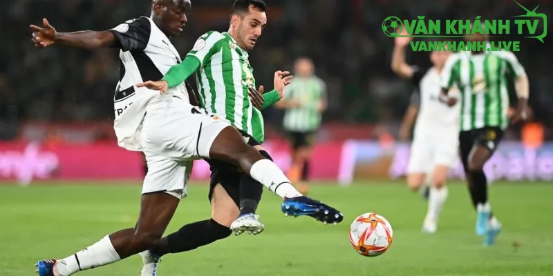 Lịch sử đối đầu và thống kê nổi bật Valencia vs Real Betis