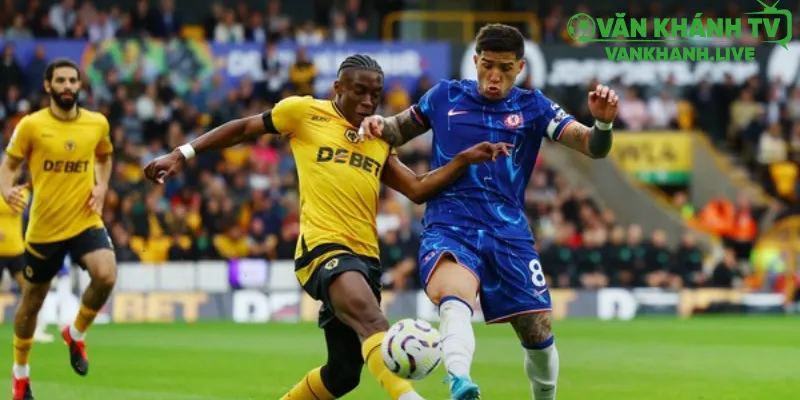 Chelsea vs Wolves: Chelsea Tiếp Tục Khẳng Định Sức Mạnh