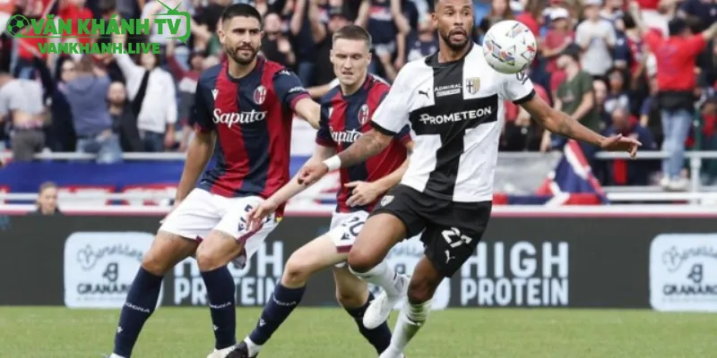 Nhận Định Parma vs Bologna: Tiếp Tục Chuỗi Bất Bại Serie A 2025/26