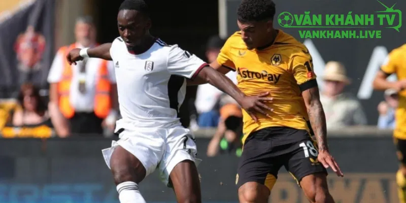 Phong Độ và Lực Lượng Trước Trận Parma vs Bologna